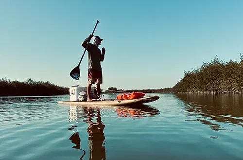 Paddle Boards for Rent